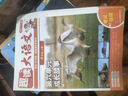 開心小學(xué)生趣讀大語文一二三四五年級(jí)上冊同步語文教材課本單元2025新人教版基礎(chǔ)知識(shí)點(diǎn)匯總預(yù)習(xí)拓展美文閱讀理解專項(xiàng)訓(xùn)練作文素材百科文學(xué)常識(shí) 四年級(jí)上 趣讀大語文（全8冊） 曬單實(shí)拍圖