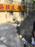 京東京造【10A抑菌】睡褲男冰絲涼感寬松家居褲薄款短褲男士休閑褲睡衣XL 曬單實(shí)拍圖