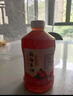百威啤酒mini紅罐淡色拉格255ml*24聽小罐整箱裝濃郁麥香 七夕送禮  曬單實(shí)拍圖