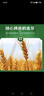 青島啤酒（TsingTao）經(jīng)典系列濃郁麥香500ml*24聽(tīng)（多廠(chǎng)生產(chǎn)隨機發(fā)貨）雙十一熱賣(mài) 曬單實(shí)拍圖