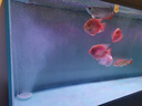 海甲衛(wèi)（HAKAWIN）魚缸氧氣泵超靜音氧氣泵魚缸小型家用增氧泵大氣量 AT-771 曬單實(shí)拍圖