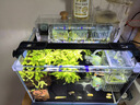 吉印刀鋒s魚(yú)缸燈led燈防水全光譜魚(yú)缸照明燈水草燈小型超白魚(yú)燈26cm 曬單實(shí)拍圖