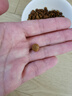 冠能貓糧幼貓貓糧3周-12月齡7kg 全價(jià)貓糧 添加牛初乳 增肥發(fā)腮 曬單實(shí)拍圖
