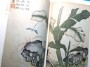 芥子園畫(huà)傳(彩色閱讀本)全套3冊 梅蘭竹菊山石草蟲(chóng)翎毛花卉畫(huà)譜繪畫(huà)技法教材 國畫(huà)工筆畫(huà)水墨畫(huà)正版書(shū)籍浙江人民美術(shù)出版社圖書(shū)籍 曬單實(shí)拍圖
