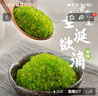 蓋世芥末飛魚籽100g/盒 大顆粒魚籽醬料理生鮮壽司食材 魚子醬 曬單實拍圖