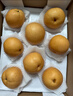 京鮮生 長城豐水梨 凈重5斤 單果250g+ 新鮮當(dāng)季 生鮮水果 曬單實(shí)拍圖