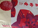 美珍香（BEE CHENG HIANG） 迷你金錢(qián)燒烤豬肉200g豬肉脯肉干燒烤肉干類休閑零食美味小吃 曬單實(shí)拍圖