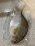 恒興食品 原條金鯧魚2斤 4條裝 BAP認證海鮮生鮮深海魚火鍋食材  曬單實拍圖