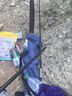 天元鄧剛洺將四代魚竿輕量大物竿巨物竿鰱鳙青草鳊釣魚竿漁具裝備 7.5m 曬單實拍圖