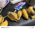 廣西小米蕉小香蕉自然熟迷你香蕉蘋(píng)果蕉小芭蕉新鮮水果特產(chǎn)雞蕉 小米蕉 3斤 泡沫箱打包 曬單實(shí)拍圖