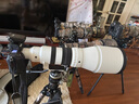 適馬（SIGMA）300-600mm F4 DG OS 全畫幅超長焦遠攝變焦鏡頭 索尼FE卡口 官方標(biāo)配 曬單實拍圖