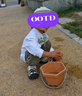 巴布豆童鞋寶寶鞋子嬰兒機能鞋秋季新款網(wǎng)面防滑男童學(xué)步鞋 森林綠   24 曬單實(shí)拍圖