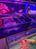 倍舒特眠眠褲 棉柔夜用防漏褲型衛生巾M-L碼10條80-130斤京東自營(yíng)安睡褲 曬單實(shí)拍圖