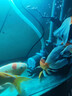 創(chuàng  )寧變頻潛水泵 CN-9500-25W 10檔流量調節 魚(yú)缸假山噴泉池循環(huán)抽水 曬單實(shí)拍圖