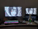 HKC 23.8英寸原生200Hz高刷FastIPS硬件低藍光HDR400廣色域1ms電競PS5游戲顯示器獵鷹 G24H1經(jīng)典版 曬單實(shí)拍圖