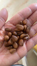 良品鋪子長白山紅松500g 東北手剝松子仁每日堅果干果量販零食 曬單實拍圖