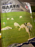 呼貝倫內蒙古灘羊肉 法式羊排2斤西餐法排 原切生鮮羊肋排 燒烤火鍋食材 曬單實(shí)拍圖