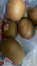 佳沛（zespri）新西蘭  陽光金奇異果巨大果22粒原箱 單果重約144-175g 獼猴桃 曬單實拍圖