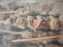 鮮京采內(nèi)蒙古孜然羊肉串凈重2斤 （50串）露營(yíng)戶(hù)外燒烤 京東自有品牌 曬單實(shí)拍圖