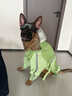 琴飛曼雨衣狗狗雨衣大狗中大型犬金毛薩摩耶阿拉斯加全包雨衣連帽霧草綠5XL 曬單實(shí)拍圖