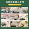 富光 玻璃冷水壺涼水壺家用耐熱高溫大容量泡茶壺涼白開水杯家庭套裝 壺1650ml+水杯（6只）+架子+盤子 曬單實(shí)拍圖