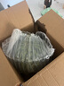 正宗冰糖8424麒麟西瓜新鮮采摘脆甜多汁有籽無籽隨機(jī)發(fā) 西瓜 6-8斤（2-3人） 曬單實(shí)拍圖