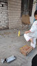 青蛙王子兒童洗發(fā)沐浴露二合一 綿密泡泡 溫和清潔配方 牛奶精華潤膚1.1L 曬單實(shí)拍圖
