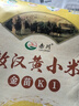 赤川24年新米敖漢黃小米5斤金苗K1（內(nèi)蒙古赤峰小米粥雜糧粥黃小米） 曬單實(shí)拍圖