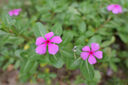 松下S5M2（20-60mm F3.5-5.6）（Panasonic）S5二代 全畫(huà)幅微單相機(jī) 約2420萬(wàn)有效像素 新相位混合對(duì)焦 曬單實(shí)拍圖