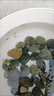 百綸木千觀(guān)背青鳉觀(guān)賞魚(yú)小型冷水魚(yú)食蚊魚(yú)不打氧吃蚊子魚(yú)新手好養耐活 隨機色1-1.5cm5條+1條備損 曬單實(shí)拍圖