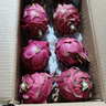 京鮮生 廣西樹上熟紅心火龍果4.5斤裝 單果300g+ 生鮮水果 源頭直發(fā) 曬單實(shí)拍圖