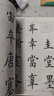 華夏萬(wàn)卷毛筆練字帖4本套裝 楷書(shū)入門(mén)書(shū)法教程田英章書(shū) 學(xué)生成人初學(xué)者教程視頻版字帖暑假銜接 曬單實(shí)拍圖