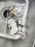 銀鯧魚(yú)1斤4條 魚(yú) 舟山漁場(chǎng)新鮮冷凍野生海捕白鯧魚(yú)深海平魚(yú)昌魚(yú) 舟山鯧魚(yú)【2斤】-共發(fā)8-9條 曬單實(shí)拍圖