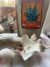 HARRISON'S BIRD FOODS高能小顆粒辣椒滋養(yǎng)丸哈里森鳥糧（1磅/454克）有效期至26年12月 曬單實拍圖