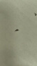 嚴迪（YANDY）凝膠PRO正畸保護蠟66枚 顆粒獨立裝正畸蠟牙蠟牙套托槽牙齒矯正 曬單實(shí)拍圖