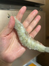 賣(mài)魚(yú)郎先生 王牌鹽凍大蝦原裝進(jìn)口 去冰凈蝦3斤 45-60只 厄瓜多爾白蝦 曬單實(shí)拍圖
