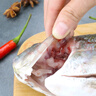 環(huán)球水產(chǎn)三去羅非魚2.8斤/共4條 免處理去鱗去鰓去內(nèi)臟 魚類 曬單實(shí)拍圖