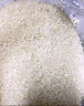 金龍魚(yú) 東北大米 乳玉皇妃稻香貢米 10斤*2/箱 六步鮮技術(shù) 鮮米 曬單實(shí)拍圖