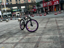鳳凰山地車(chē)自行車(chē)成年人男士女士學(xué)生變速碟剎減震全軸承山地自行車(chē) 月光銀/碳鋼架/鋁合金雙層輻條輪 26英寸（身高160-180左右） 24速-標準變速 曬單實(shí)拍圖