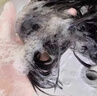 醒慕多肽角蛋白洗發(fā)水800ml男女士控油去屑修護干枯毛躁護發(fā)洗頭膏液 曬單實拍圖