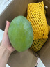 京活生鮮 凱特芒單果500克起 四川攀枝花凱特芒果 新鮮當季水果 推薦4.5斤 單果600克+ 源頭直發(fā) 曬單實拍圖