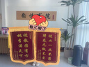 源璽錦旗定制錦旗定做感謝醫(yī)生老師定制贈送幼兒園教師物業(yè)月嫂生日訂做美容院高檔植絨裝修旌旗制作 【推薦】發(fā)泡字（豪華大龍須）70*110cm 曬單實拍圖