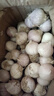 志褚獨(dú)頭蒜大蒜頭 2024云南大理紫皮獨(dú)蒜 精品新鮮現(xiàn)挖濕蒜 3斤裝【大果3.0-3.5cm】 曬單實(shí)拍圖