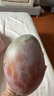 京鮮生 攀枝花凱特芒果 凈重8.5斤 帶箱9斤 單果400g+ 生鮮水果源頭直發(fā) 曬單實(shí)拍圖