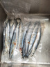 賣(mài)魚(yú)七郎大號秋刀魚(yú)2斤 新鮮海捕鮮活冷凍日料生鮮燒烤食材海鮮魚(yú)類(lèi) 曬單實(shí)拍圖