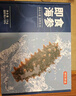 京東京造大連冷凍即食海參1000g 30-50只 固形物不低于70% 遼刺參 曬單實拍圖