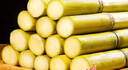 廣西黃皮甘蔗水果黑皮甘蔗新鮮黃果蔗可榨汁煲湯削皮即食產(chǎn)地直發(fā) 【囤貨】黃皮甘蔗9斤 曬單實(shí)拍圖