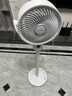 艾美特（AIRMATE）【360°循環(huán)】空氣循環(huán)扇電風(fēng)扇家用大風(fēng)量電扇臺式落地扇小風(fēng)扇語(yǔ)音智能輕音換氣風(fēng)扇 FA18-SRD161 曬單實(shí)拍圖