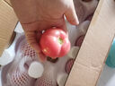 疆域采虹正宗當季沙瓤西紅柿現摘新鮮沙瓤水果生吃西紅柿沙漠特產(chǎn)自然熟 特選2斤嘗鮮實(shí)惠裝 凈重1.5斤+ 曬單實(shí)拍圖