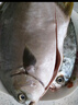 翔泰 海南金鯧魚(yú)凈重900g 2條裝  魚(yú)類(lèi)生鮮 火鍋食材 海鮮水產(chǎn) 中秋 曬單實(shí)拍圖